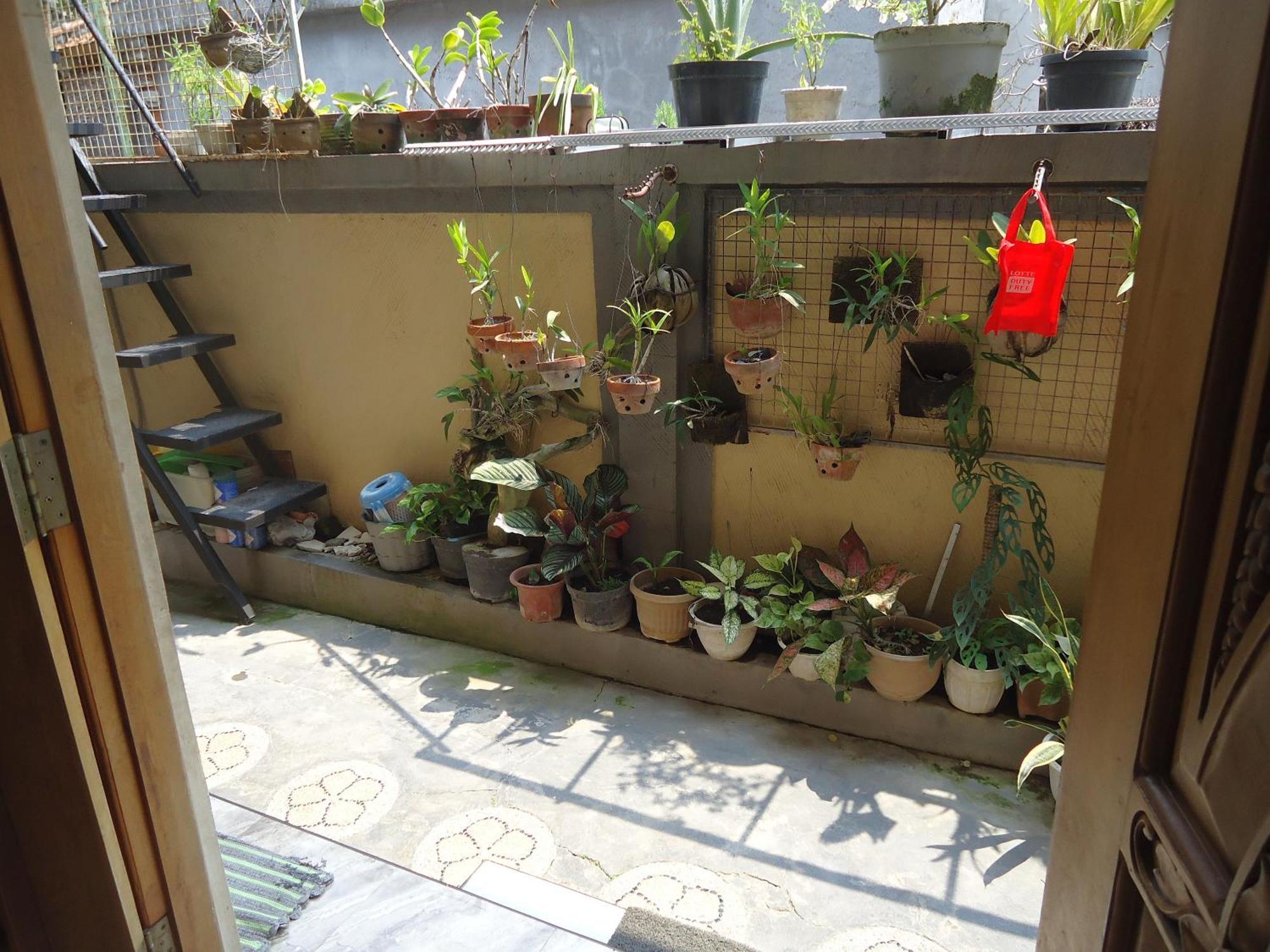 The Reinhold Guesthouse Bali Kerobokan Extérieur photo